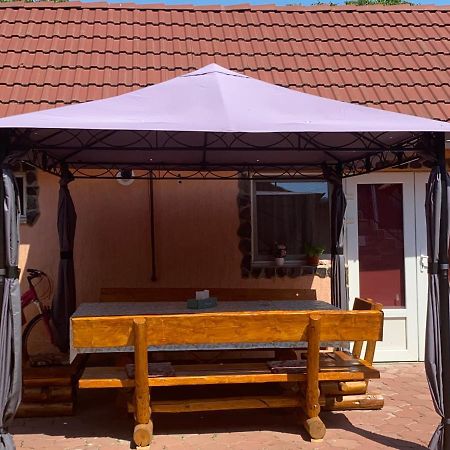 Casa Blendea Daniela Ξενοδοχείο Cîrţişoara Εξωτερικό φωτογραφία