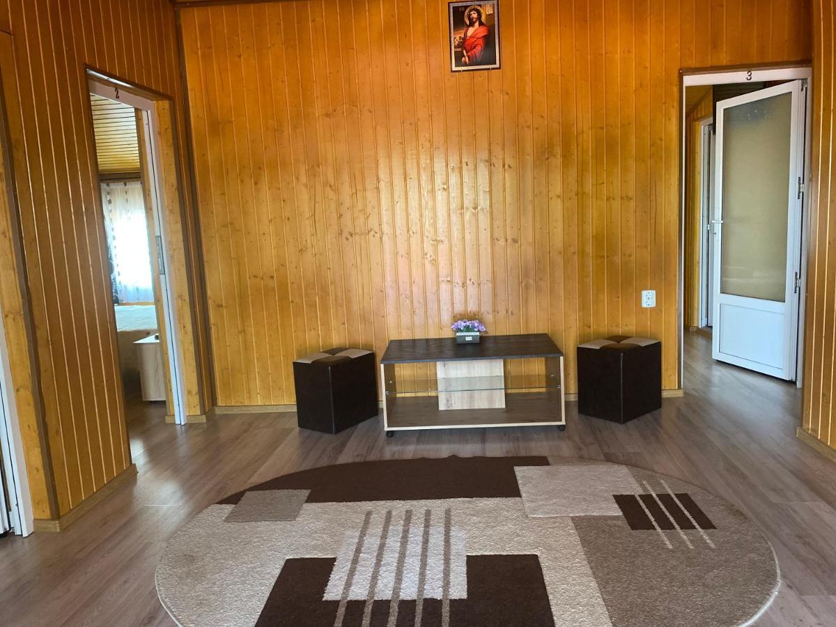 Casa Blendea Daniela Ξενοδοχείο Cîrţişoara Εξωτερικό φωτογραφία
