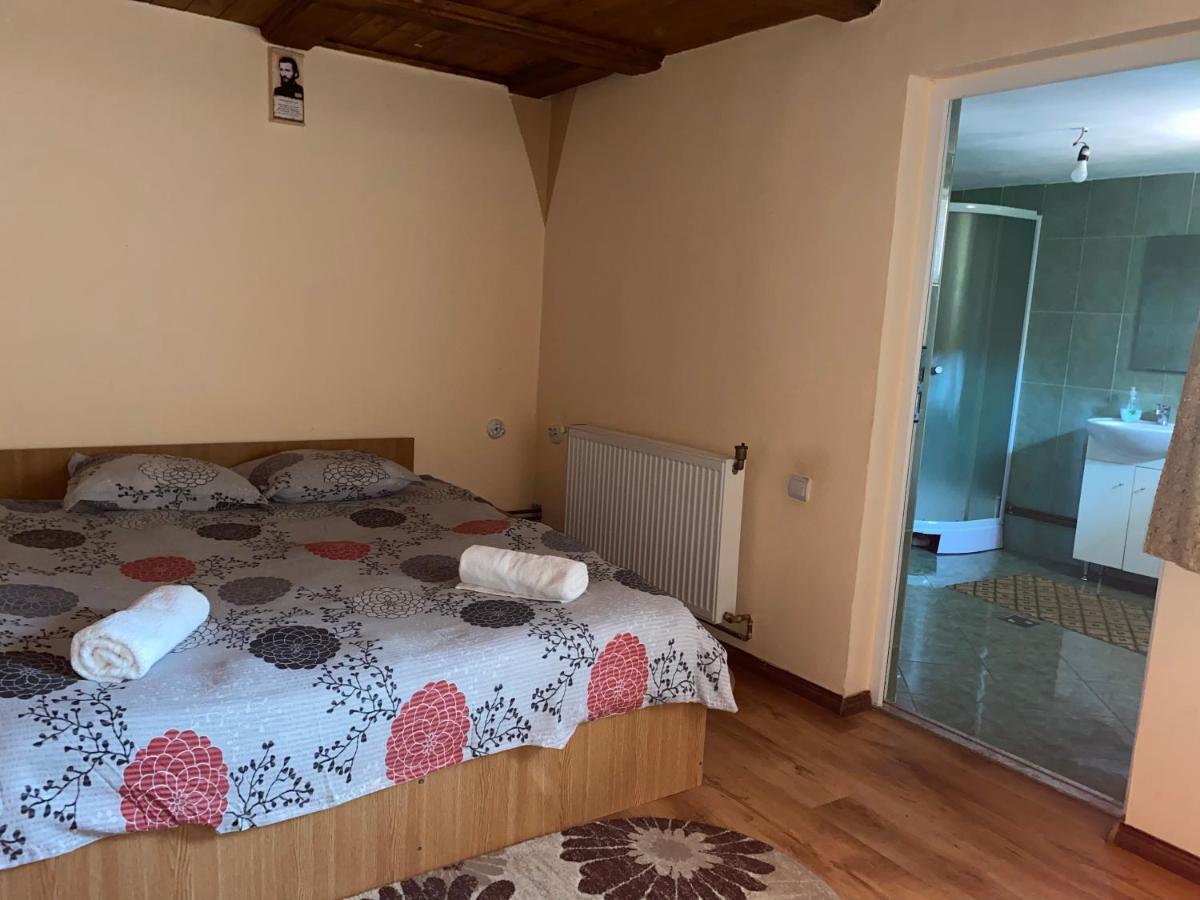 Casa Blendea Daniela Ξενοδοχείο Cîrţişoara Εξωτερικό φωτογραφία