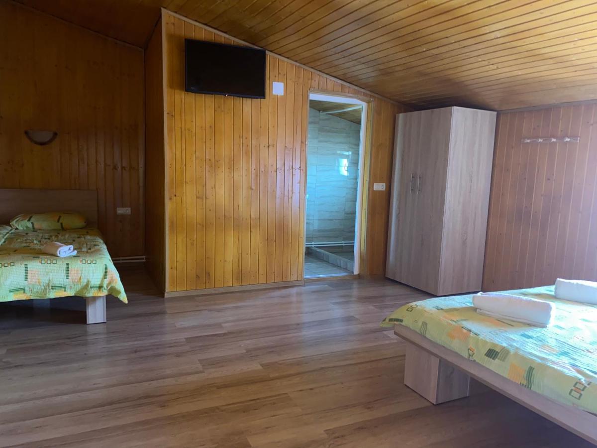 Casa Blendea Daniela Ξενοδοχείο Cîrţişoara Εξωτερικό φωτογραφία