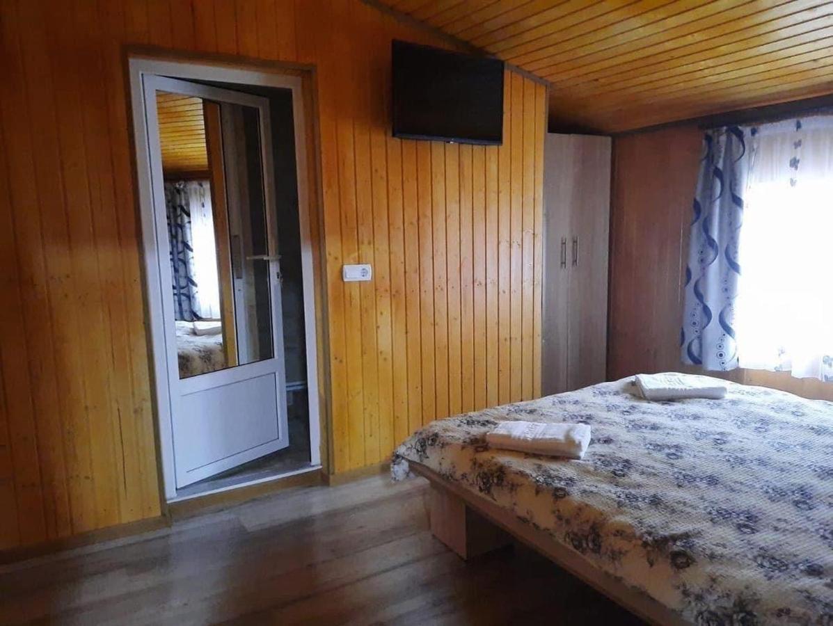 Casa Blendea Daniela Ξενοδοχείο Cîrţişoara Εξωτερικό φωτογραφία