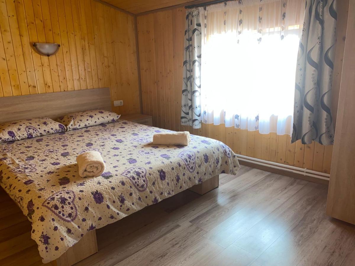 Casa Blendea Daniela Ξενοδοχείο Cîrţişoara Εξωτερικό φωτογραφία