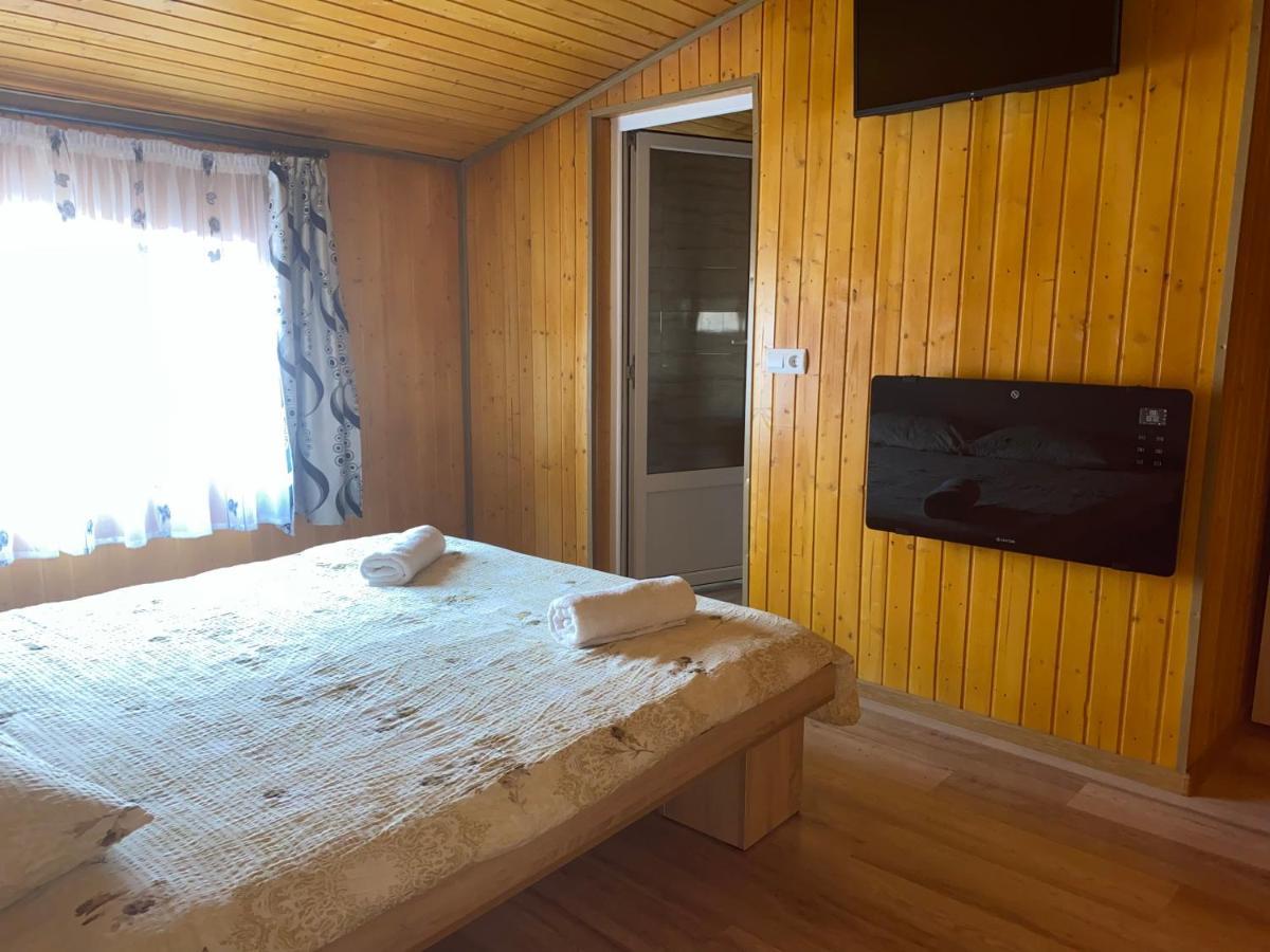 Casa Blendea Daniela Ξενοδοχείο Cîrţişoara Εξωτερικό φωτογραφία