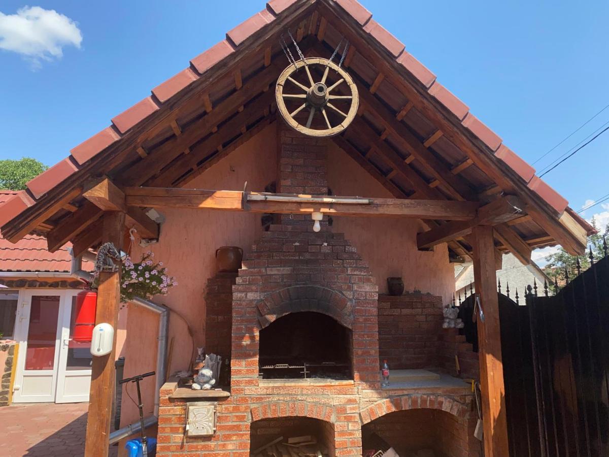 Casa Blendea Daniela Ξενοδοχείο Cîrţişoara Εξωτερικό φωτογραφία