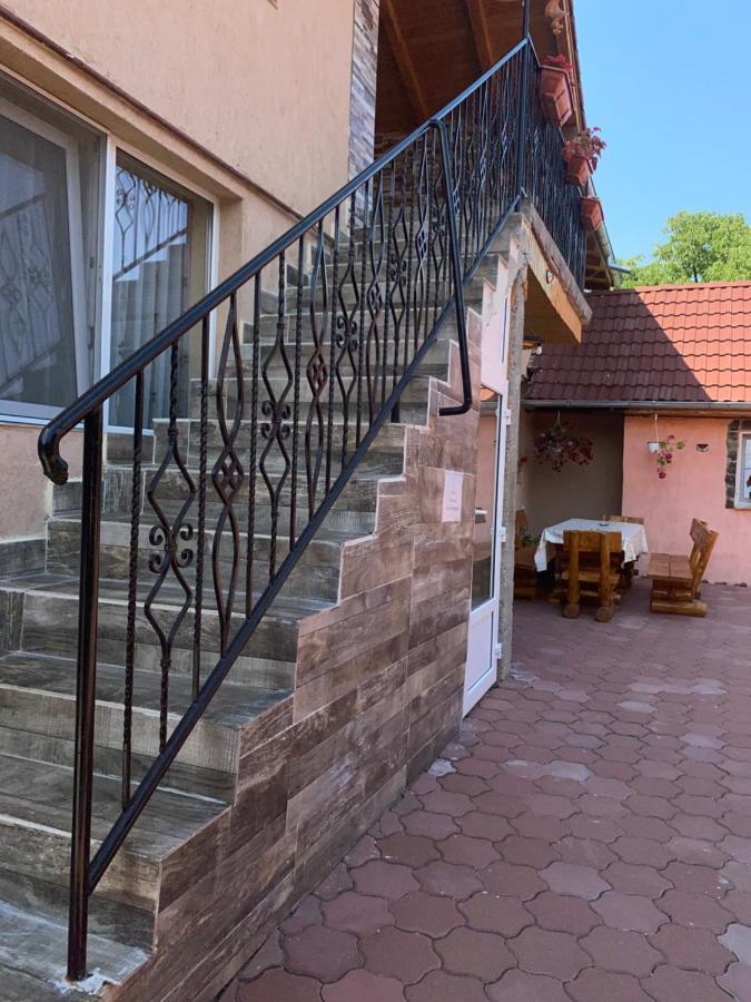 Casa Blendea Daniela Ξενοδοχείο Cîrţişoara Εξωτερικό φωτογραφία