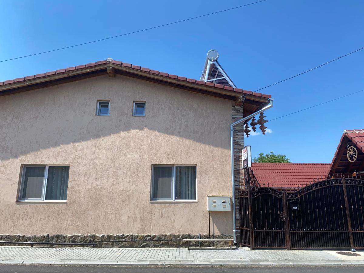 Casa Blendea Daniela Ξενοδοχείο Cîrţişoara Εξωτερικό φωτογραφία
