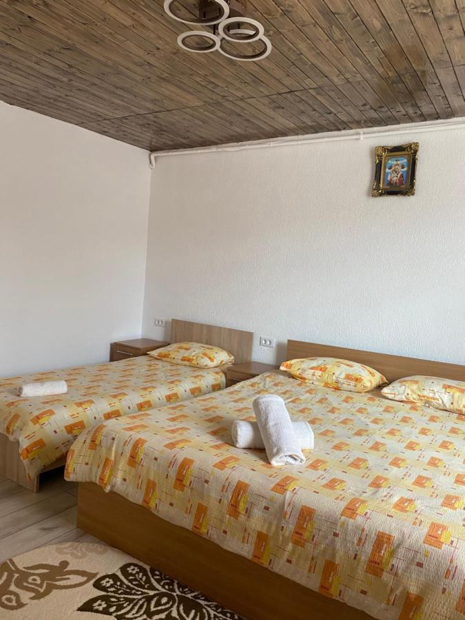 Casa Blendea Daniela Ξενοδοχείο Cîrţişoara Εξωτερικό φωτογραφία