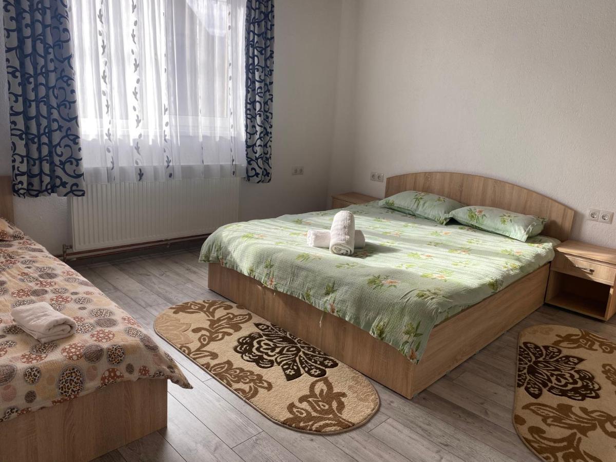 Casa Blendea Daniela Ξενοδοχείο Cîrţişoara Εξωτερικό φωτογραφία