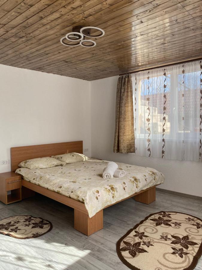 Casa Blendea Daniela Ξενοδοχείο Cîrţişoara Εξωτερικό φωτογραφία