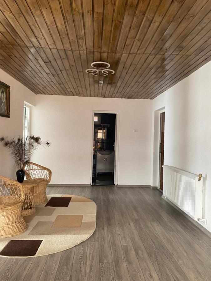 Casa Blendea Daniela Ξενοδοχείο Cîrţişoara Εξωτερικό φωτογραφία